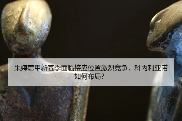 zhu-ting-yi-jia-xin-sai-ji-mian-lin-jie-ying-wei-zhi-ji-lie-jing-zheng-ke-nei-li-ya-nuo-ru-he-bu-ju-3-766.jpg