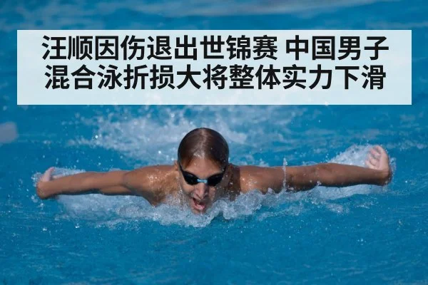汪顺因伤退出世锦赛 中国男子混合泳折损大将整体实力下滑